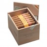 Partagas Shorts Kiste