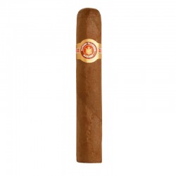 Ramon Allones Specially Selected einzelne Zigarre