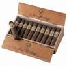 AVO Heritage Short Robusto Kiste offen