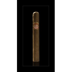 Partagas Capitols - Onlineshop Urs Portmann Tabakwaren AG