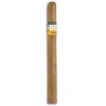 Cohiba Panetelas BN - Onlineshop Urs Portmann Tabakwaren AG