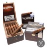 Villiger Nicaroma Robusto im Onlineshop Urs Portmann Tabakwaren kaufen