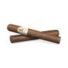 Davidoff WSC Petit Corona - Onlineshop Urs Portmann Tabakwaren AG