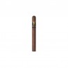 Davidoff WSC Late Hour Churchill einzelne Zigarre