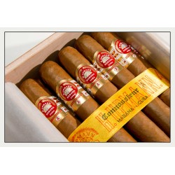 H. Upmann Connoisseur A - Onlineshop Urs Portmann Tabakwaren AG