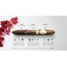 Davidoff Limited Editions im Onlineshop Urs Portmann Tabakwaren kaufen