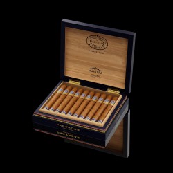 Partagas Linea Maestro im Onlineshop Urs Portmann Tabakwaren kaufen