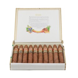 Cuaba Piramides Edition Limitada 2008