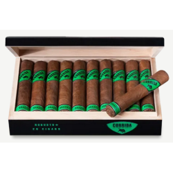 Corrida Brazil Robusto+