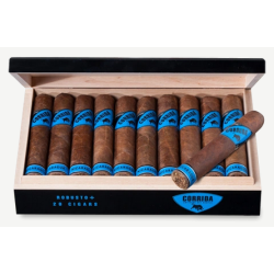 Corrida Nicaragua Robusto+