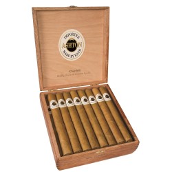 Ashton Classic Churchill